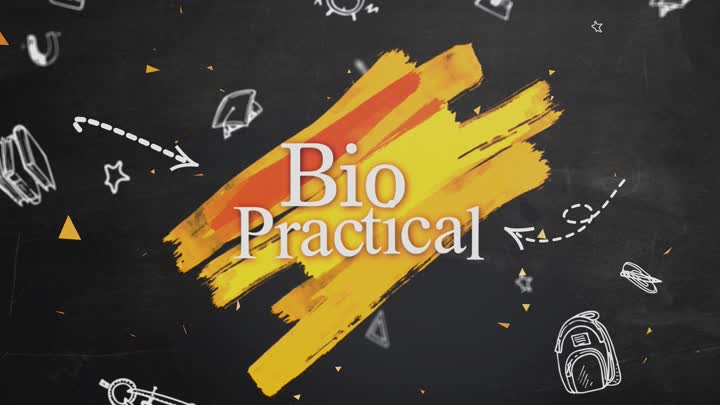 Screenshot Of Bio Practical (2024) Hindi Season 01 Episodes 01 To 03 ITAP WEB Series